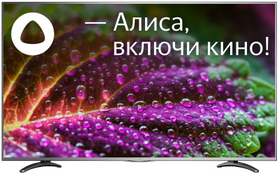 ЖК-телевизор Vekta LD-55SU8921BS