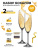 Набор бокалов для шампанского Crystalite Bohemia Colibri/Gastro 220 мл (2 шт) 43106