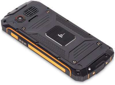 Мобильный телефон F+ R280 Black Orange