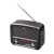 Радиоприемник Ritmix RPR-065 серый