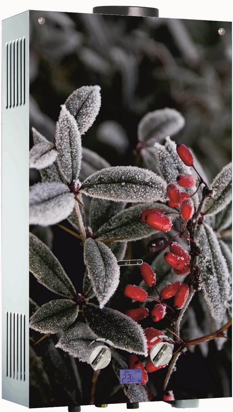 Газовая колонка ATL 3-10 LT Barberry