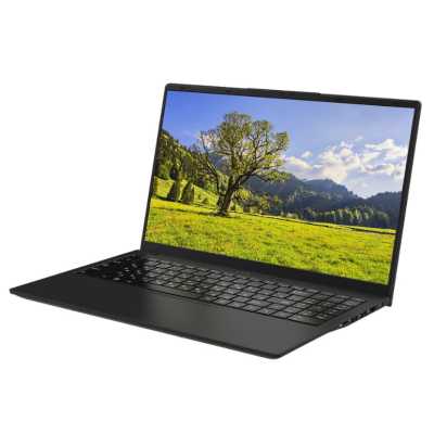Ноутбук Rikor Pro 3 15 OH-03/15.6"/Intel Core i3-1220P/16Gb/512Gb SSD/Intel Iris Xe Graphics/Windows 11 Professional/черный/1.65kg (790F3002)