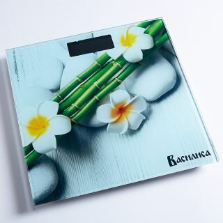 Весы напольные Василиса ВА-4012 Спа