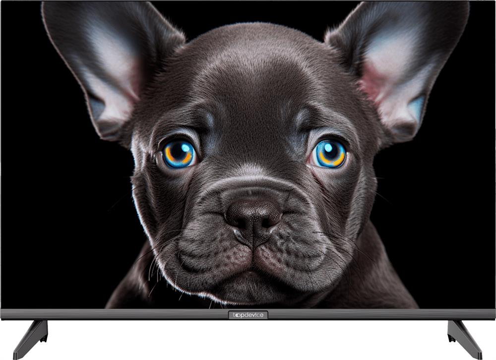 Телевизор TopDevice TDTV24CS08H_BK