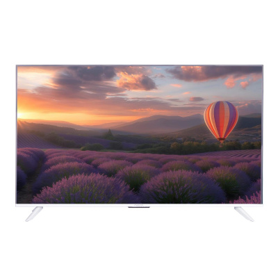 ЖК-телевизор, QLED Manya 55Q05W