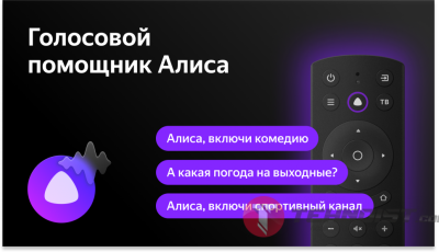 ЖК-телевизор Vekta LD-55SU8815BS