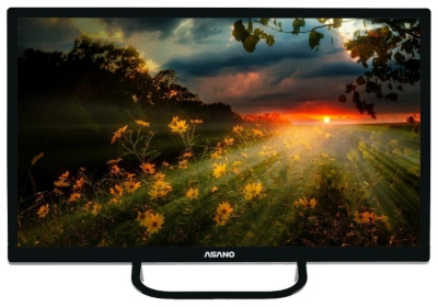 ЖК-телевизор Asano 24LH1110T