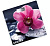 Весы напольные CENTEK CT-2421 Spring Flower