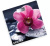 Весы напольные CENTEK CT-2421 Spring Flower