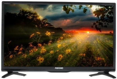 ЖК-телевизор Asano 24LH1020T