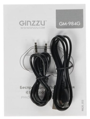 Портативная акустика Ginzzu GM-984G