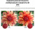 ЖК-телевизор Samsung UE50AU7100U