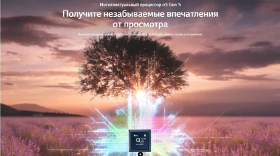 ЖК-телевизор LG 75UQ81009LC
