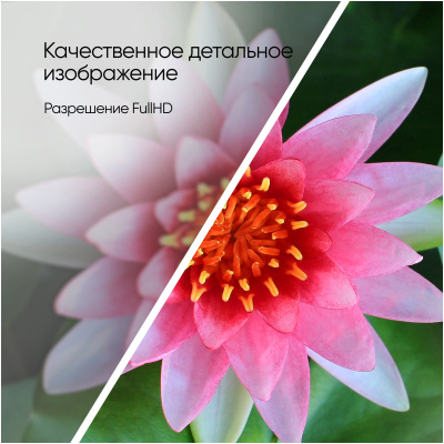 ЖК-телевизор Topdevice TDTV40BS04F_ML
