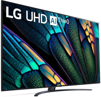 ЖК-телевизор LG 65UR81006LJ
