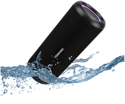 Портативная акустика Toshiba TY-WSP201