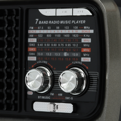 Радиоприемник SoundMAX SM-RD2124UB Чёрный+серый