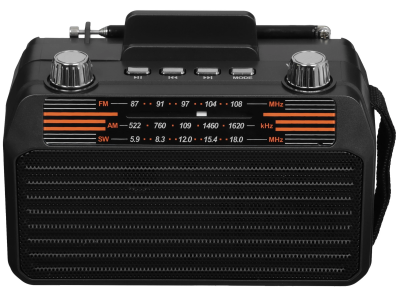 Радиоприемник SoundMAX SM-RD2114UB Черный