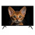 Телевизор Topdevice TDHTV32YHD_BK