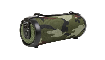 Портативная акустика TELEFUNKEN TF-PS1243B Хаки