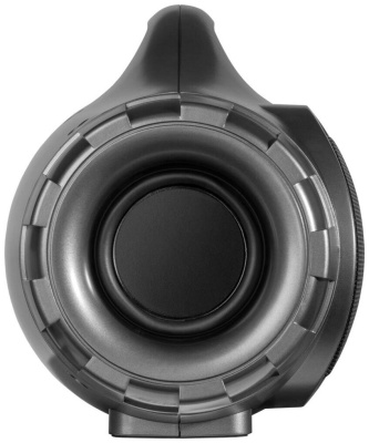Портативная акустика Defender G100 (65689)
