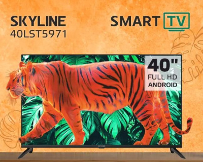 Телевизор Skyline 40LST5971