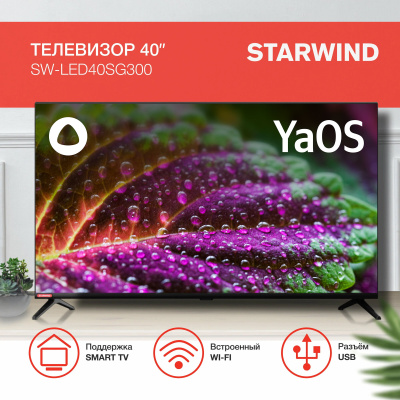 ЖК-телевизор StarWind SW-LED40SG300