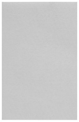 Пылесборник бумажный Neolux L-01 (LG TB-36)