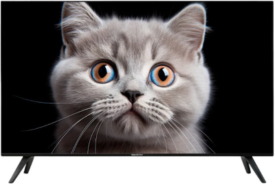 Телевизор TopDevice TDTV65ES13U_BK