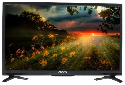 ЖК-телевизор Asano 24LH1020T