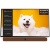 Телевизор Skyworth 24LP60G
