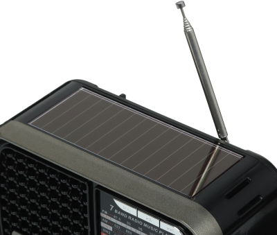 Радиоприемник SoundMAX SM-RD2124UB Чёрный+серый