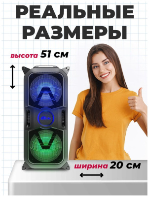 Портативная акустика Ritmix SP-850B