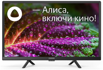 ЖК-телевизор StarWind SW-LED24SG303