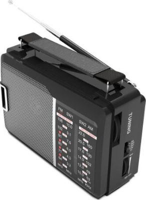 Радиоприемник Ritmix RPR-190