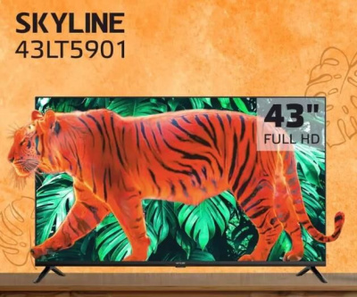 Телевизор Skyline 43LT5901