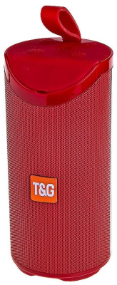 Портативная акустика T&G TG169 красный