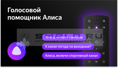ЖК-телевизор Vekta LD-55SU8815BS