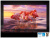 ЖК-телевизор, QLED Samsung QE65QN85BAU