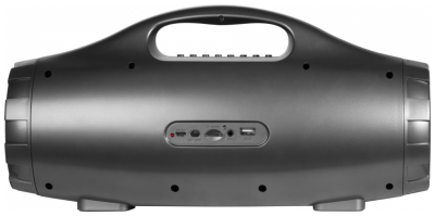 Портативная акустика Defender G100 (65689)