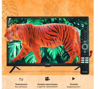 ЖК-телевизор Skyline 24YST5970