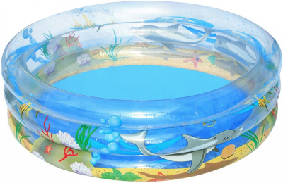 Бассейн надувной Bestway 51048 (170*53 см)