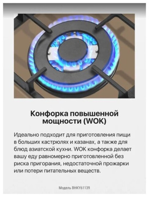 Газовая варочная поверхность Hansa BHKY61139