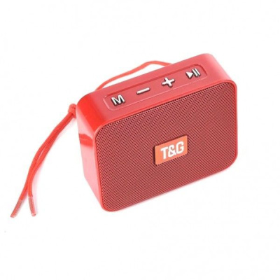 Портативная акустика T&G TG166 красный