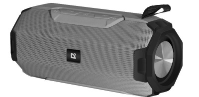 Портативная акустика Defender G20