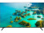 Телевизор Haier 43 LED S2