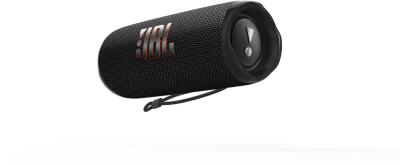 Портативная акустика JBL Flip 6 Black