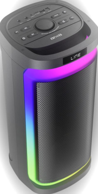 Портативная акустика AIWA CAS-622