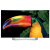 OLED-телевизор LG 55EG910V