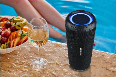 Портативная акустика Toshiba TY-WSP201